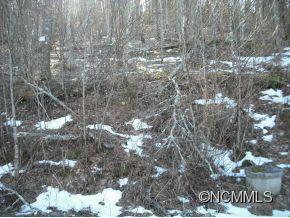 Property image 3 at Lot 50 Big Spring Trail, Burnsville, NC 28714