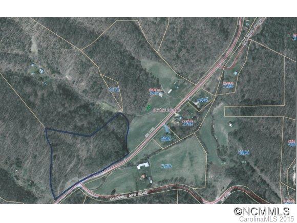 Property image 3 at 00 Meadow Fork Road, Hot Springs, NC 28743