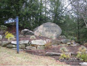 Property image 3 at 603 Stonefly Drive Lot 146, Mills River, NC 28759