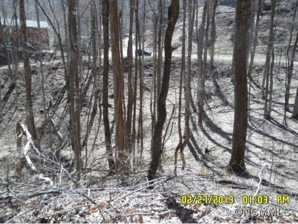 Property image 4 at 0 Nottingham Rd, Maggie Valley, NC 28751