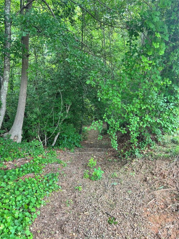 Property image 5 of 441 19th Avenue Circle in Hutton Estate, Hickory, NC 28601