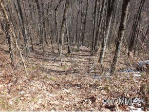 Property image 5 at 000 Hoot Owl Ridge, Maggie Valley, NC 28751