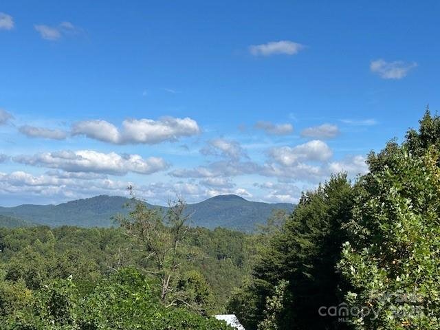 Property image 2 of 0 Tahawus Drive in South Mountain Peaks, Bostic, NC 28018