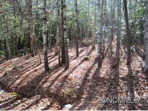 Property image 2 at Xx Sweetwater Lane, Pisgah Forest, NC 28768