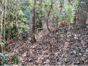 Property image 4 at Xx Sweetwater Lane, Pisgah Forest, NC 28768