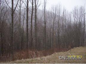 Property image 5 at Lot 6 Whisper Mountain Kendall Dr, Leicester, NC 28748