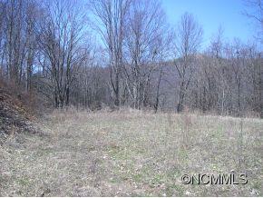 Property image 2 at Lot 4 Off Hemlock Springs, Clyde, NC 28721