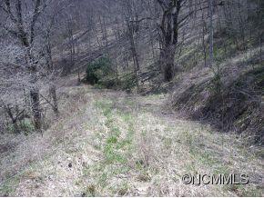 Property image 3 at Lot 4 Off Hemlock Springs, Clyde, NC 28721