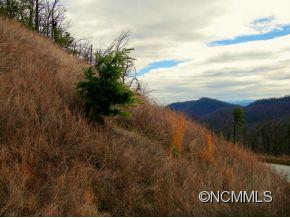 Lot 192 Catawba Falls Preserve