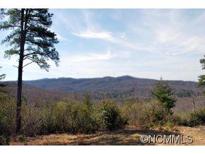 Property image 4 at 1909 Kentwood Lane, Pisgah Forest, NC 28768
