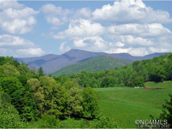 Property image 3 at Lot 10 Horseshoe Trail, Barnardsville, NC 28701