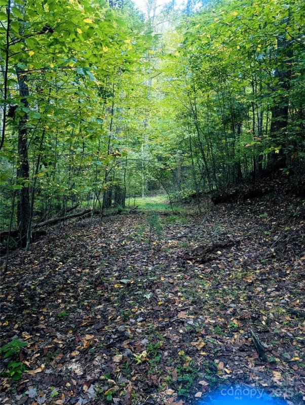 High Peak Lake Estates, Etowah Community