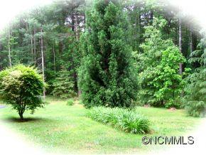 Property image 2 at 217 Deerpath Lane, Hendersonville, NC 28739