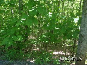 Property image 4 at 510 Atlantic Falls Trail, Old Fort, NC 28762