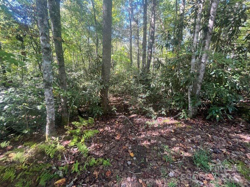 Property image 2 of Tbd Honeysuckle Ridge Road in Knob Creek, Pisgah Forest, NC 28768