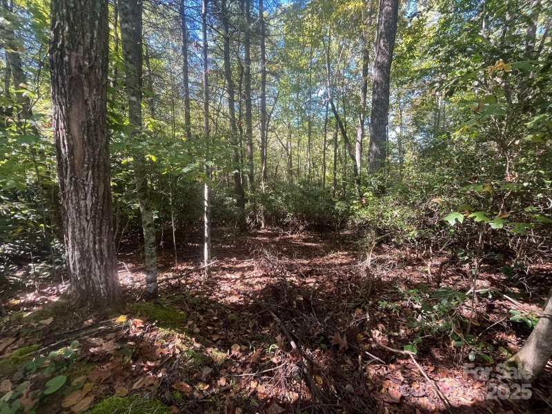Property image 3 of Tbd Honeysuckle Ridge Road in Knob Creek, Pisgah Forest, NC 28768