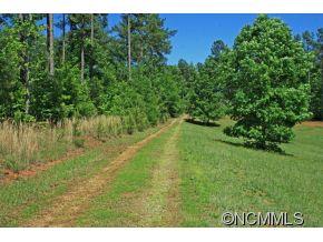 Property image 5 at 208 Loblolly Lane, Mill Spring, NC 28756