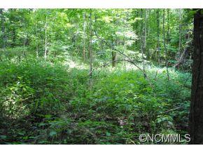Property image 2 at Lot 4 Sage Lane, Waynesville, NC 28785