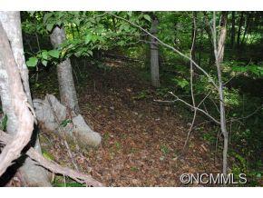 Property image 3 at Lot 4 Sage Lane, Waynesville, NC 28785