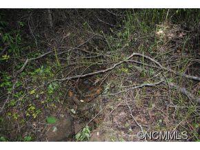 Property image 4 at Lot 4 Sage Lane, Waynesville, NC 28785