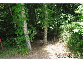 Property image 5 at Lot 4 Sage Lane, Waynesville, NC 28785