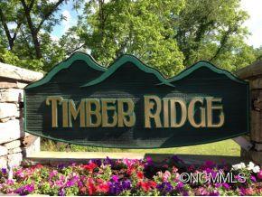 Property image 5 at , Leicester, NC 28748