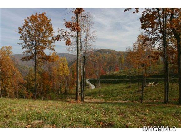 Property image 3 at Lot 74 Silverglen Way, Hendersonville, NC 28792