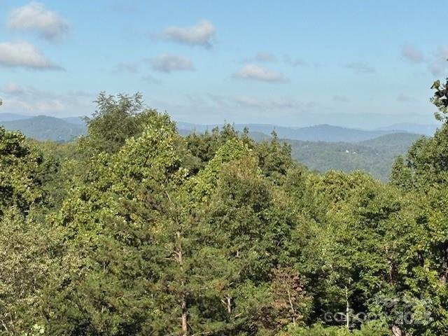 Property image 4 of 1077 Melrose Mountain Road in Melrose Mtn, Tryon, NC 28782