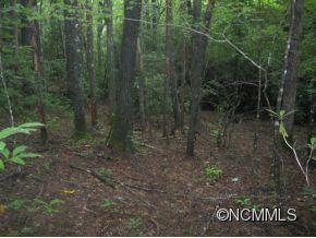 Property image 5 at Tbd Quail Run, Pisgah Forest, NC 28768