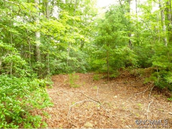 Property image 5 at 46 Fox Den, Brevard, NC 28712