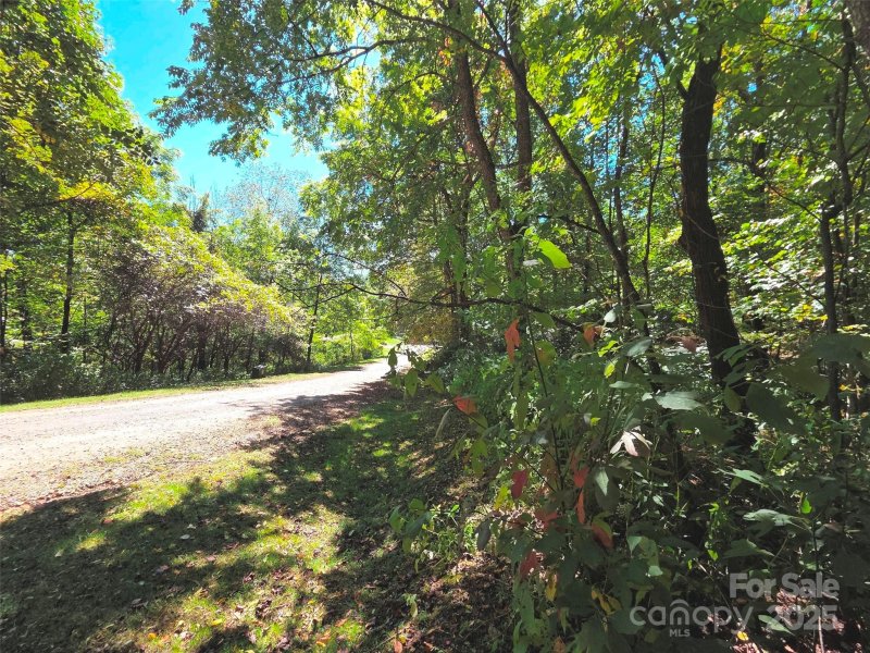 Property image 3 of 123 Live Oak Loop in The Willows, Waynesville, NC 28785