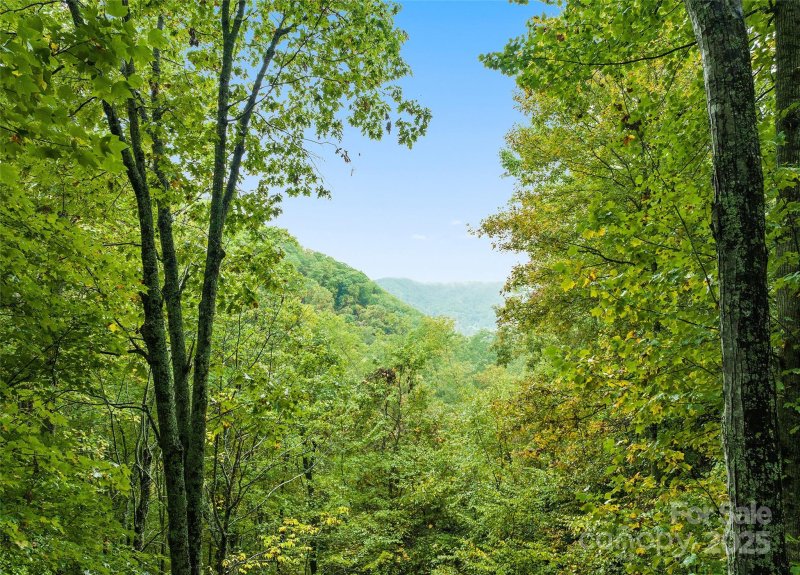 Property image 4 of 1664 Tawodi Trail in Smoky Mountain Retreat at Eagles Nest, Maggie Valley, NC 28751