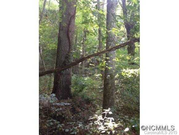 Property image 3 at 0 Middlemount, Pisgah Forest, NC 28768