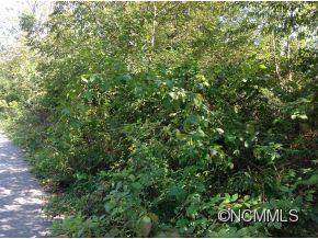 Property image 2 at Lot 4 Evelyn Acres Drive, Asheville, NC 28806