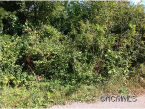 Property image 2 at Lot 5 Evelyn Acres Drive, Asheville, NC 28806