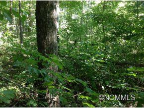 Property image 2 at Lot 13 Evelyn Acres Drive, Asheville, NC 28806