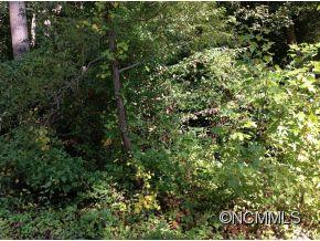 Property image 4 at Lot 13 Evelyn Acres Drive, Asheville, NC 28806