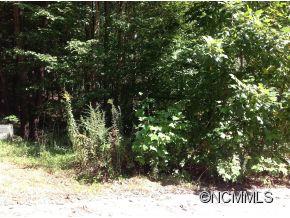 Property image 5 at Lot 13 Evelyn Acres Drive, Asheville, NC 28806