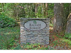 Property image 2 at 00 Fern Trail, Waynesville, NC 28786