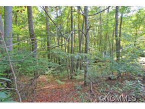Property image 3 at 00 Fern Trail, Waynesville, NC 28786