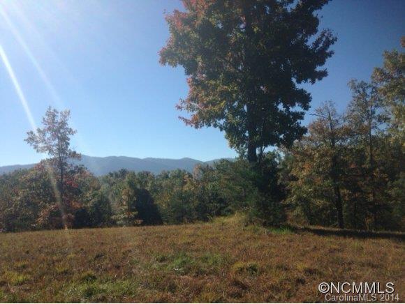 Property image 2 at 0 Fallen Tree Lane, Mill Spring, NC 28756