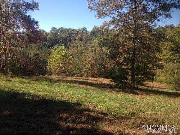 Property image 3 at 0 Fallen Tree Lane, Mill Spring, NC 28756