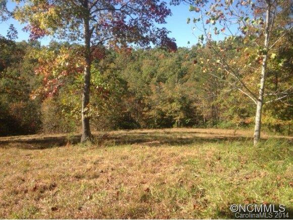 Property image 4 at 0 Fallen Tree Lane, Mill Spring, NC 28756