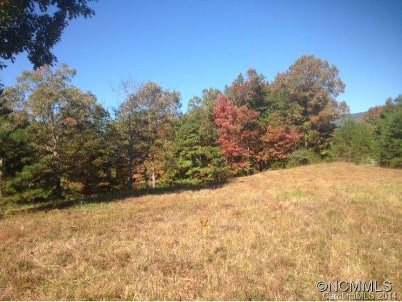 Property image 5 at 0 Fallen Tree Lane, Mill Spring, NC 28756