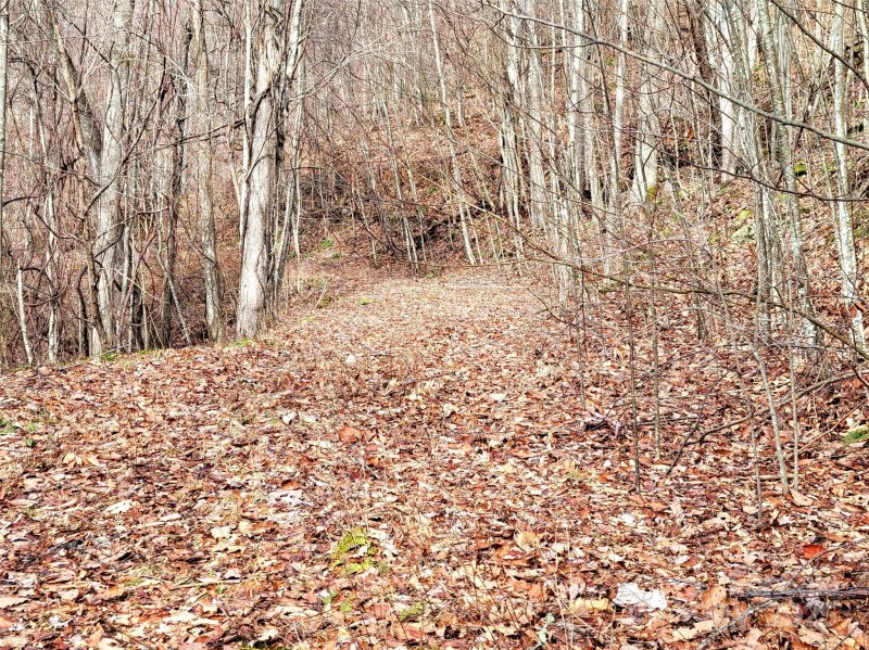 Property image 4 of 75 Rimrock Ridge in Sunset Heights, Clyde, NC 28721