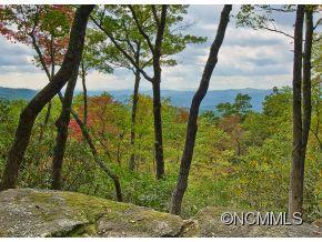 Property image 3 at 1500 Kentwood Lane, Pisgah Forest, NC 28768