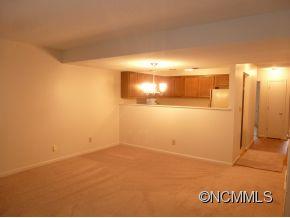 Property image 5 at 16 Spears Avenue 15, Asheville, NC 28801