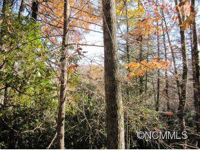 Property image 5 at 1055 Morgan Hill Rd, Black Mountain, NC 28711