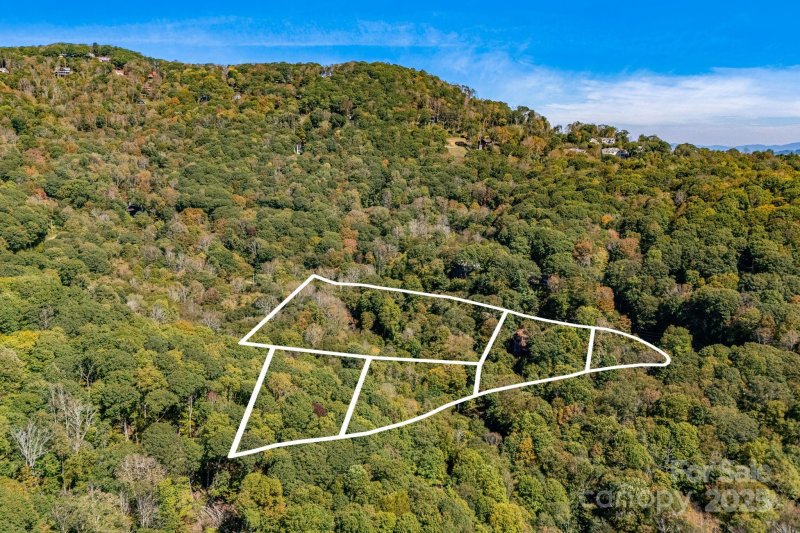 Property image 3 of 191 Ivy Way in Wolf Laurel, Mars Hill, NC 28754