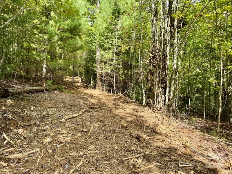Property image 4 of Lots 37 38 Settlers Ridge Road in Settlers Ridge, Hendersonville, NC 28739